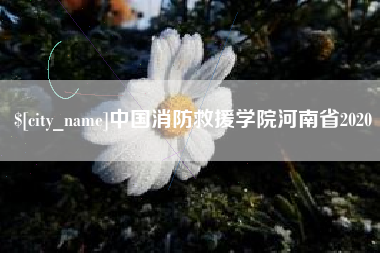 内蒙古中国消防救援学院河南省2020